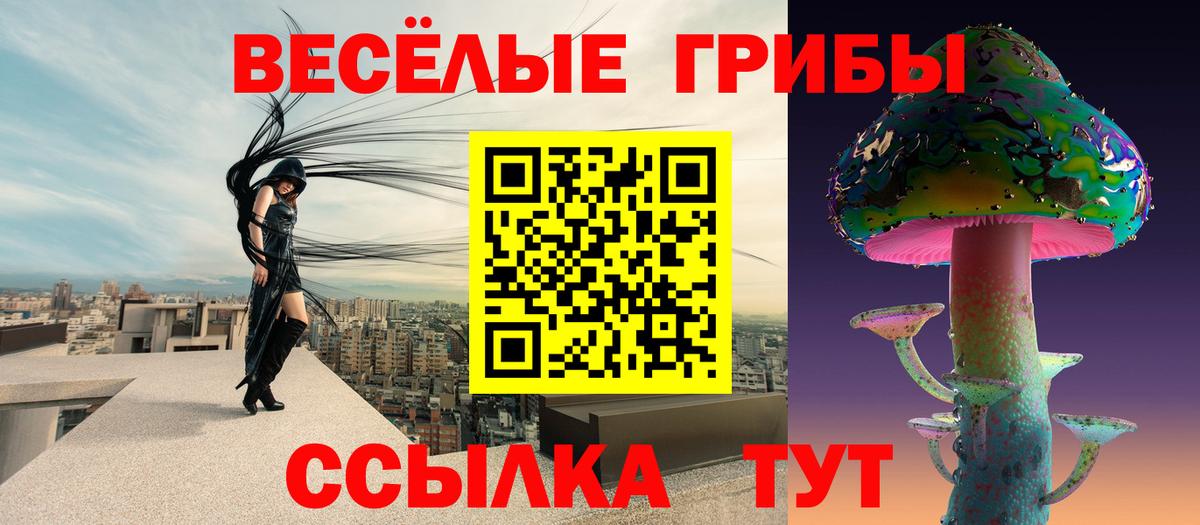 Спасск-Дальний  Галлюциногенные грибы ЛСД  Вход с VPN 